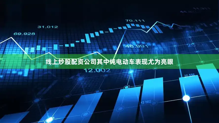 线上炒股配资公司其中纯电动车表现尤为亮眼